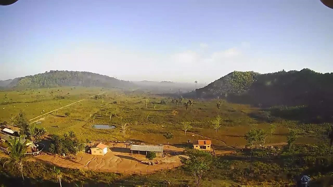 Foto do imóvel: Fazenda à Venda, 831 Alq. GO em Gurupá - Gurupá