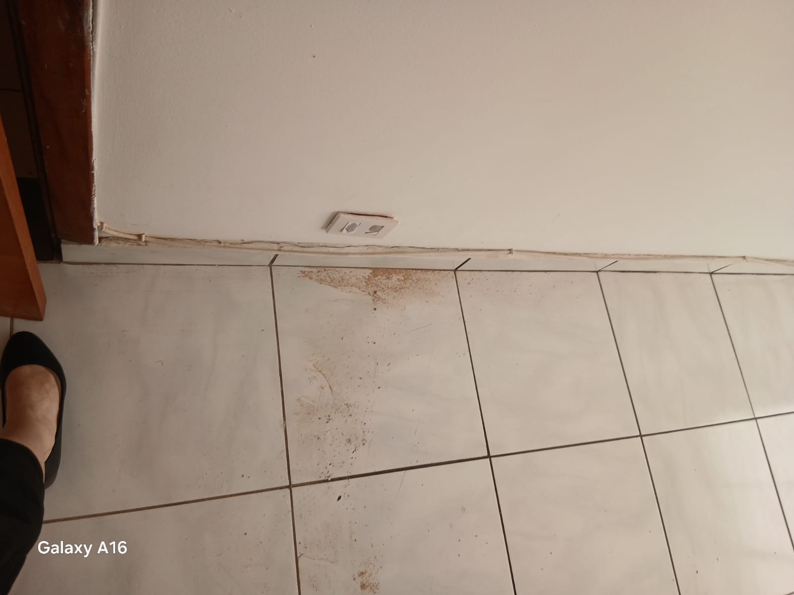 Imagem Sala Comercial para Alugar, 25 m² em Santana - São Paulo