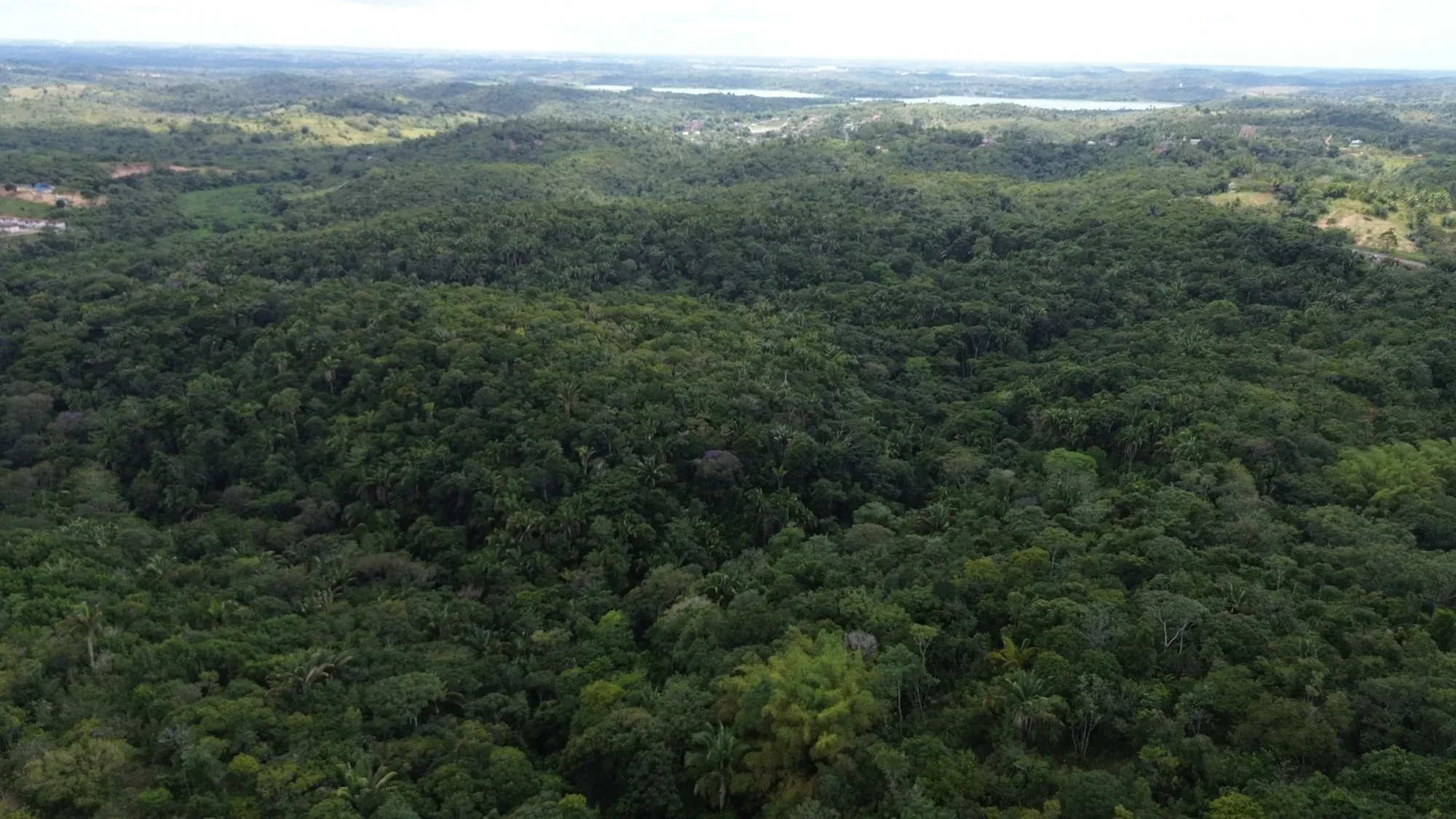 Imagem Terreno à Venda, 544000 metros em centro - Simoes Filho