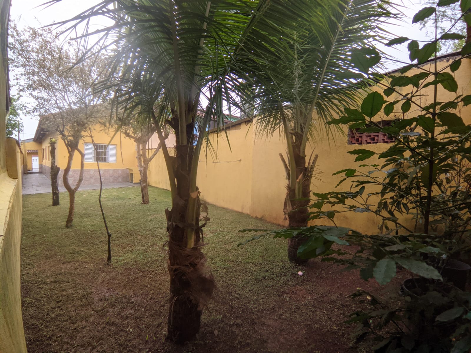 Imagem Casa com 2 Quartos à Venda, 60 m²em Balneário Flórida Mirim - Mongaguá