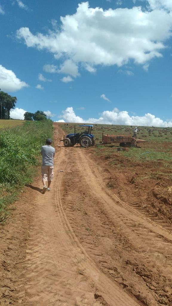 Foto do imóvel: Fazenda à Venda, 6 Alq. SP em Valadão - Piedade
