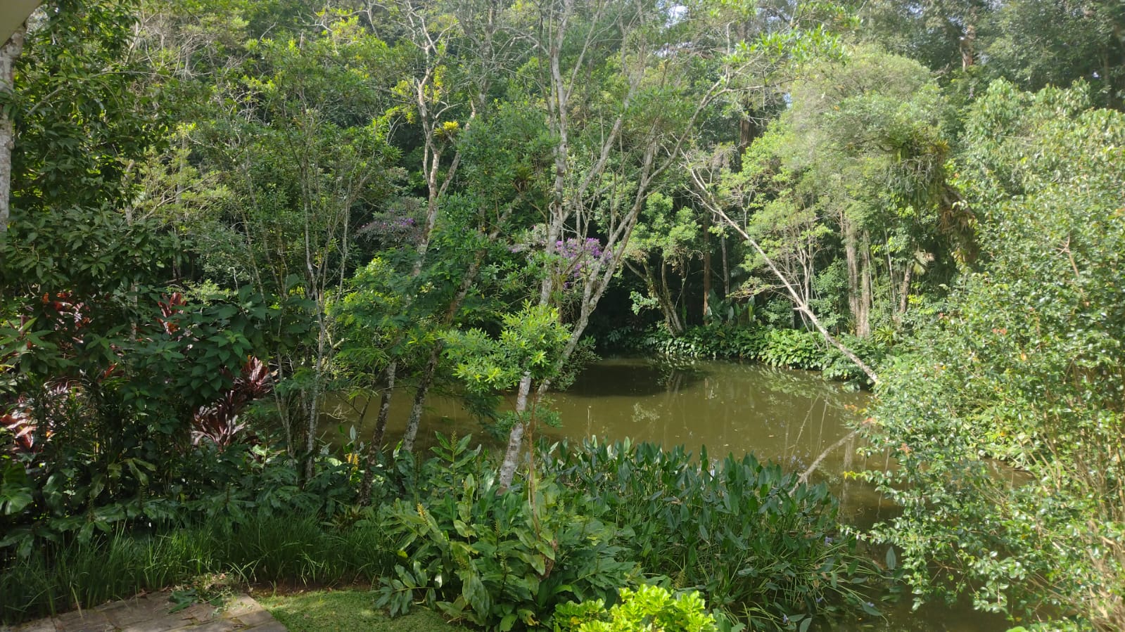 Imagem Casa com 6 Quartos à Venda, 300 m² em Bingen - Petrópolis