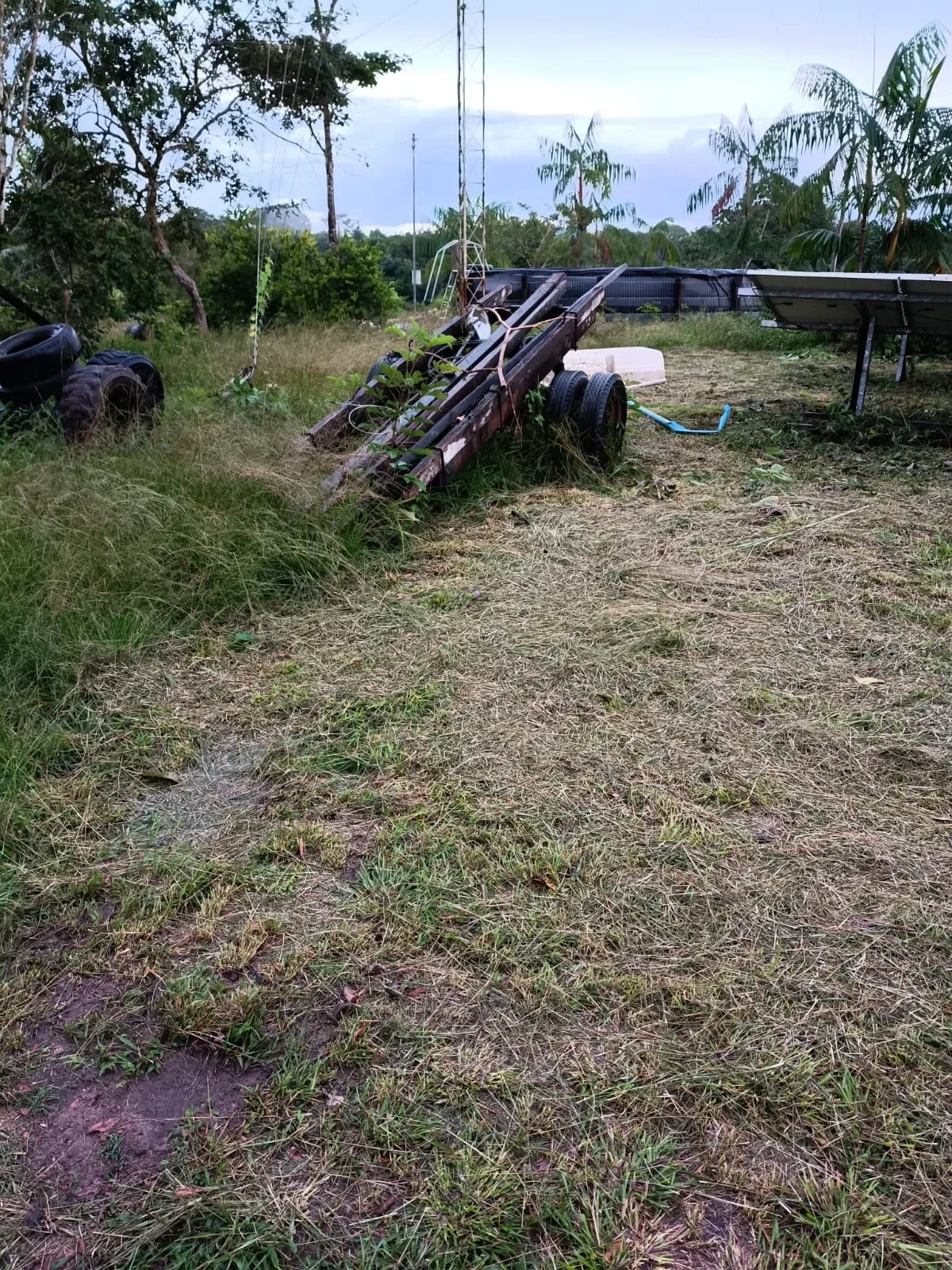 Imagem Fazenda à Venda, 46 HA em Acará - Acará