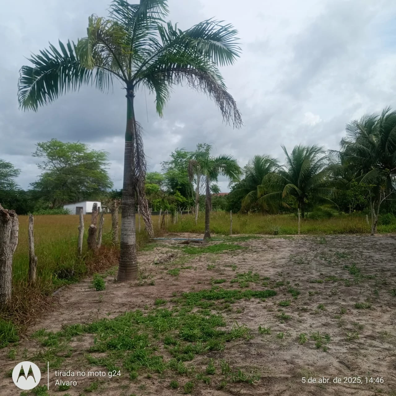 Imagem Fazenda à Venda, 14 HA em Vera Cruz - Vera Cruz