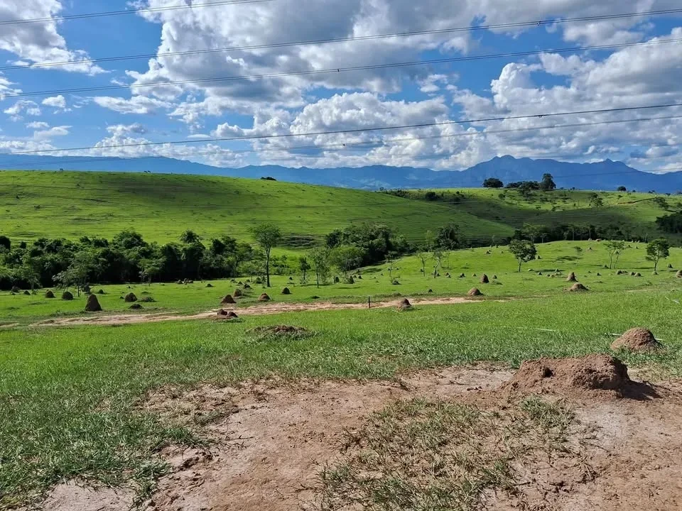 Imagem Terreno à Venda, 2000 metros em Área Rural de Guaratinguetá - Guaratinguetá