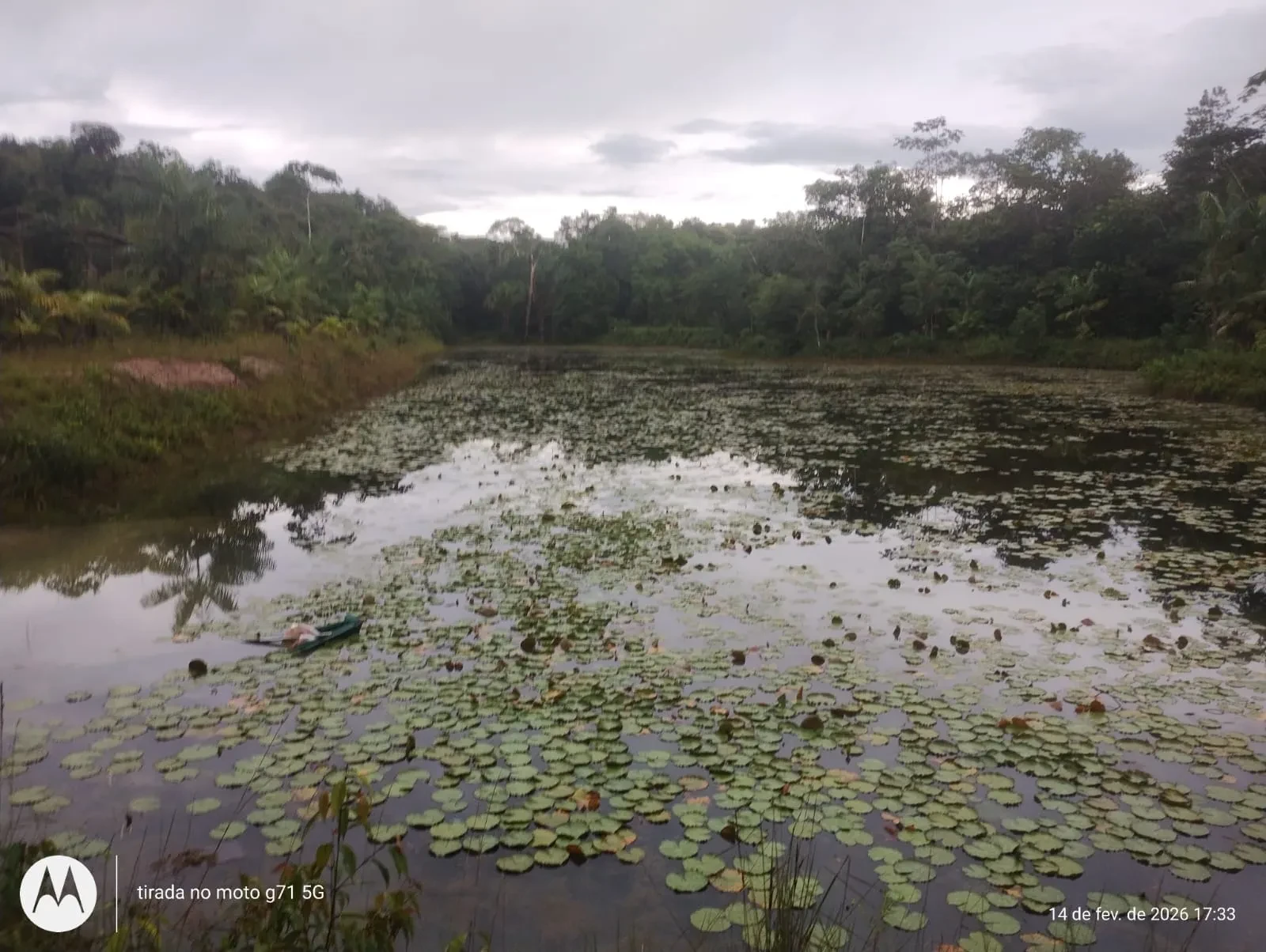 Imagem Fazenda à Venda, 46 HA em Acará - Acará