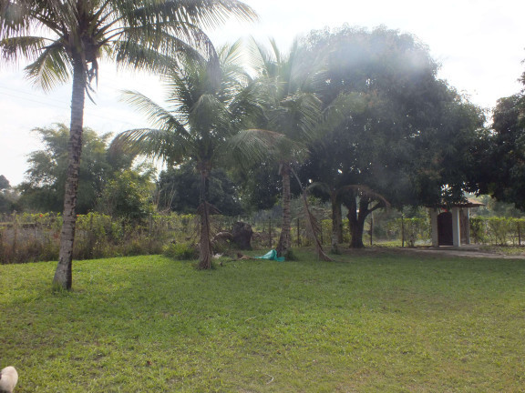 Imagem Chácara com 2 Quartos à Venda, 2.800 m² em Araruama