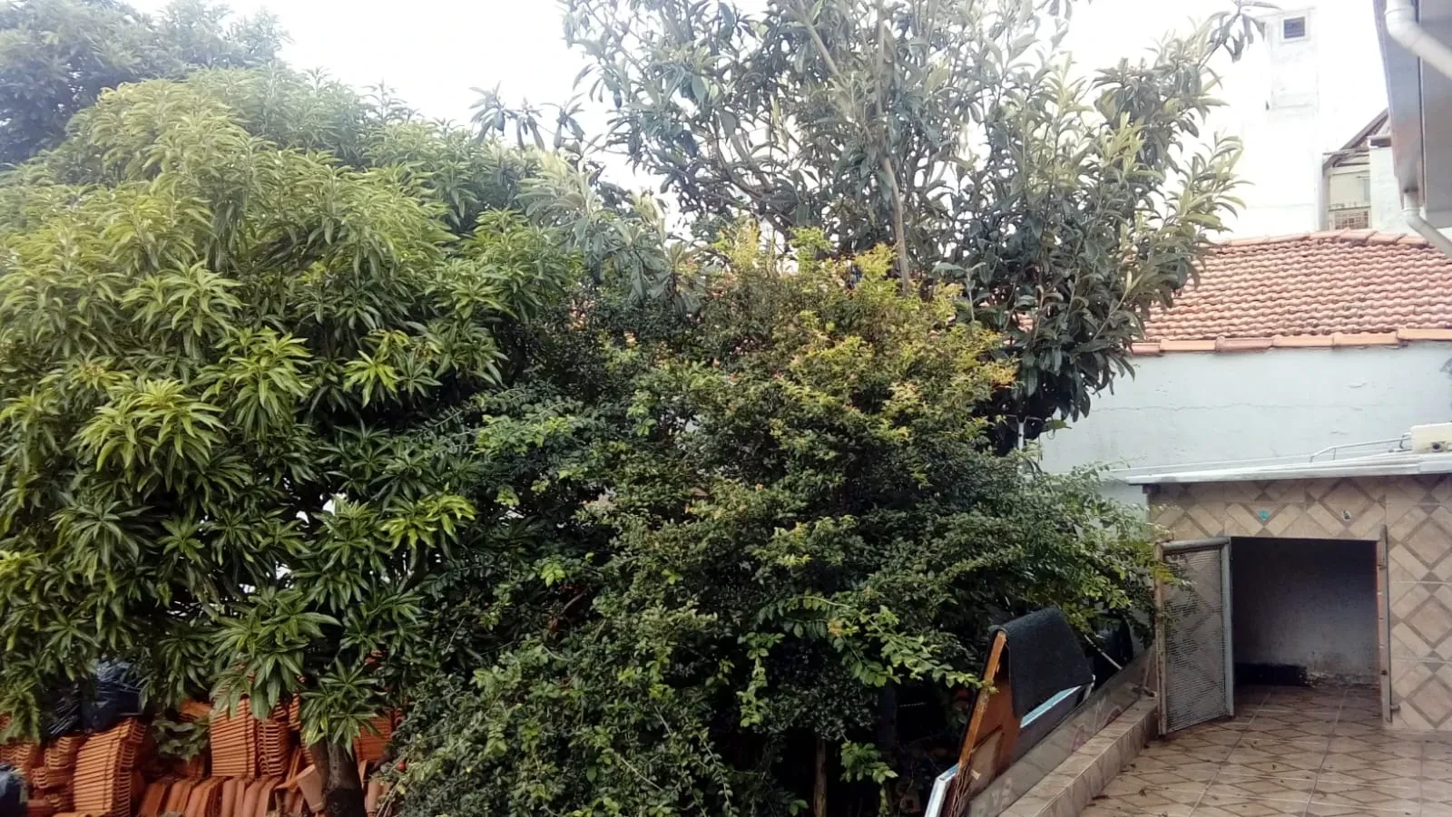 Imagem Sobrado com 3 Quartos à Venda, 590 m² em Santa Teresinha - São Paulo
