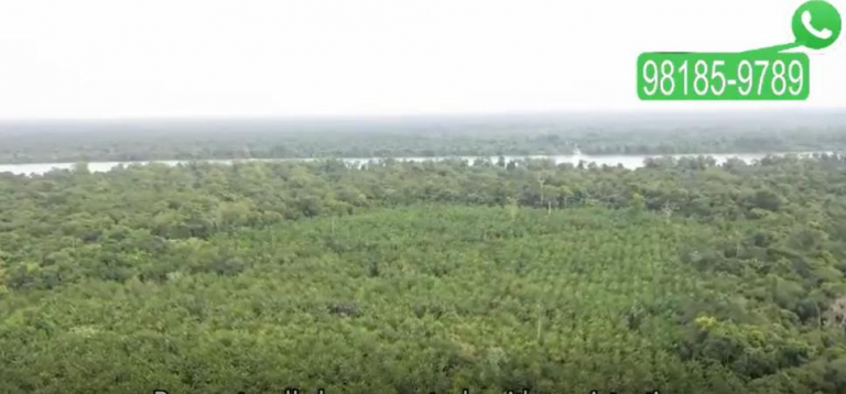 Imagem Imóvel com 9 Quartos à Venda, 50.800 m² em GENIPAUBA - Santa Bárbara do Pará