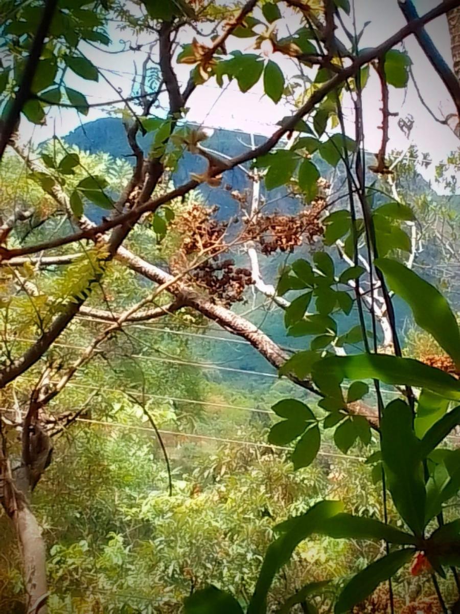 Foto do imóvel: Terreno à Venda, 2.000 m² em Recanto da Aldeia - Brumadinho