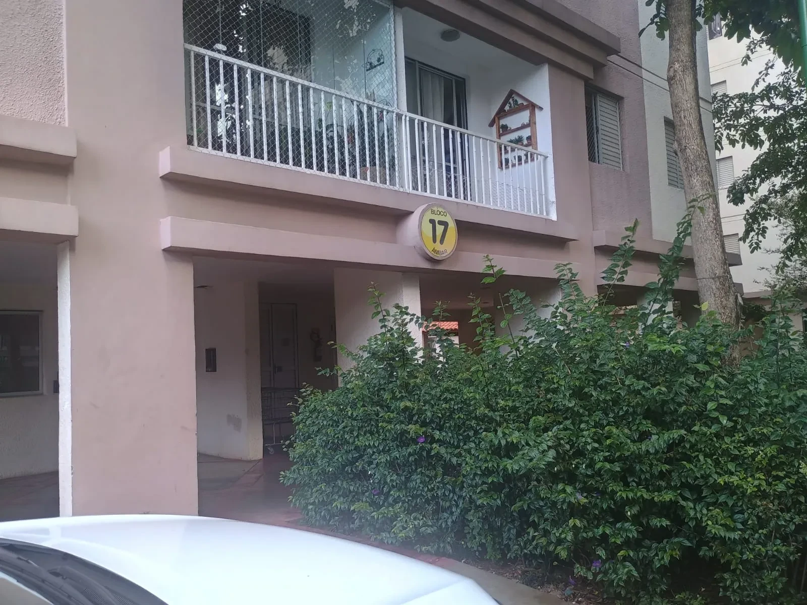Imagem Apartamento com 3 Quartos à Venda, 62 m² em Brás - São Paulo