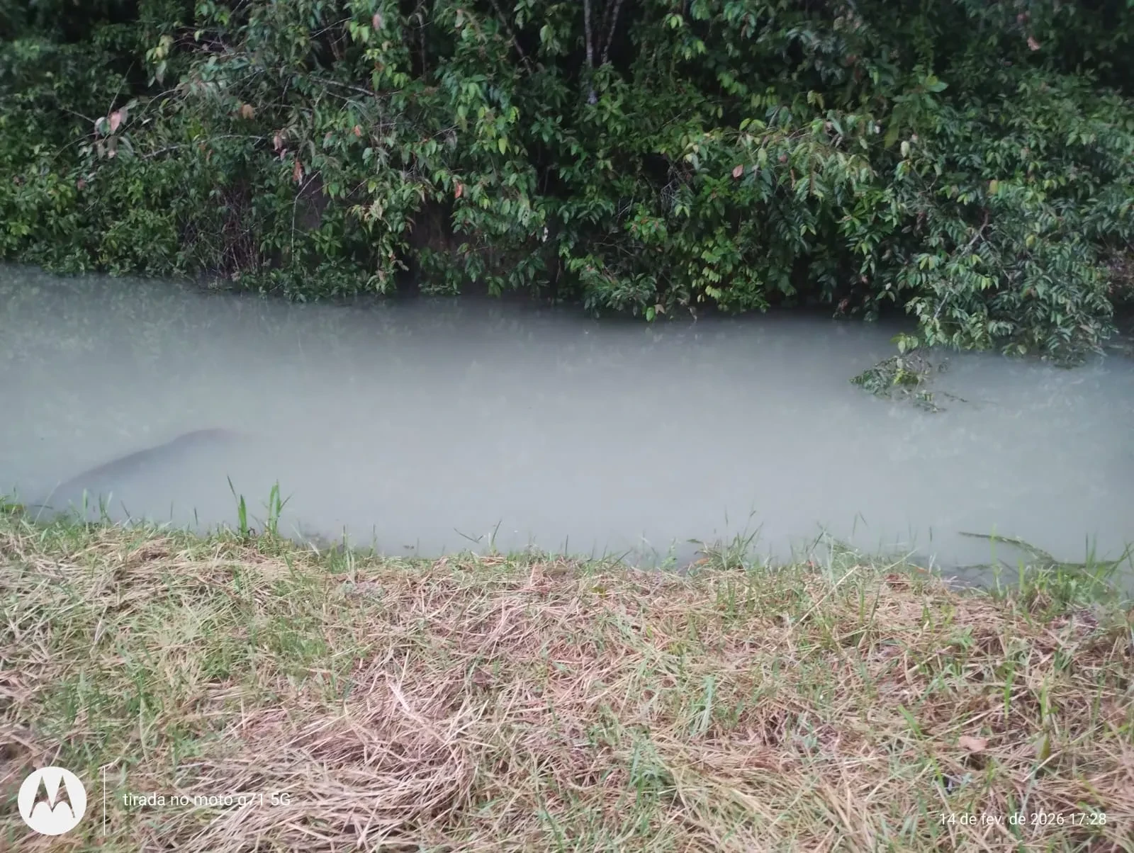 Imagem Fazenda à Venda, 46 HA em Acará - Acará