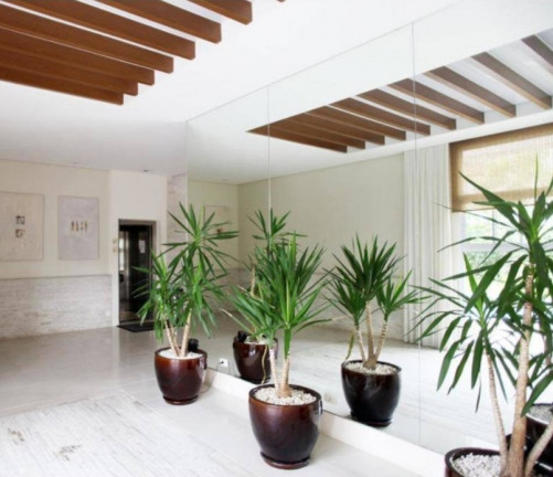 Imagem Apartamento com 4 Quartos à Venda, 230 m² em Campo Belo - São Paulo