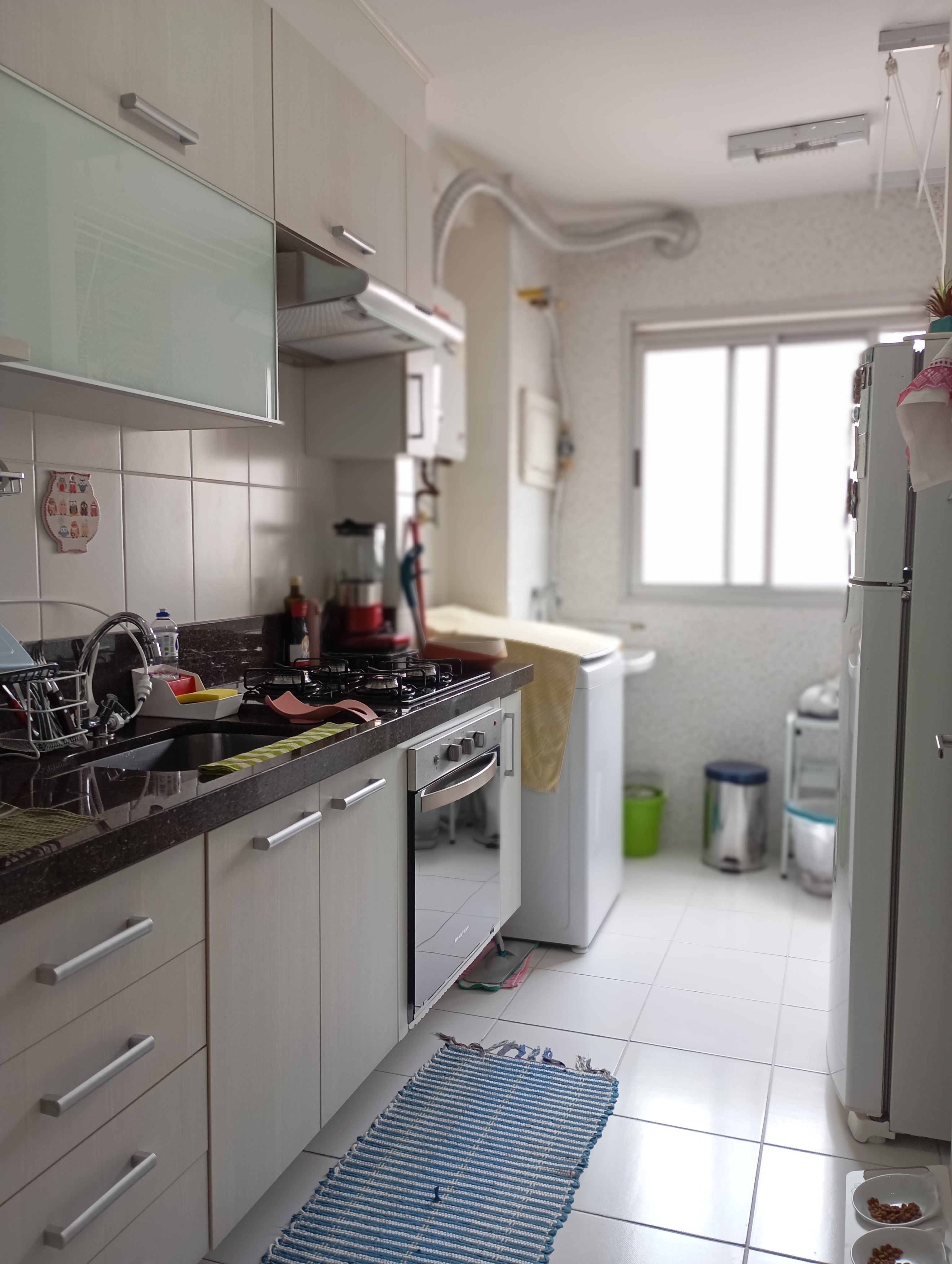 Imagem Apartamento com 2 Quartos à Venda, 52 m² em Vila Liviero - São Paulo