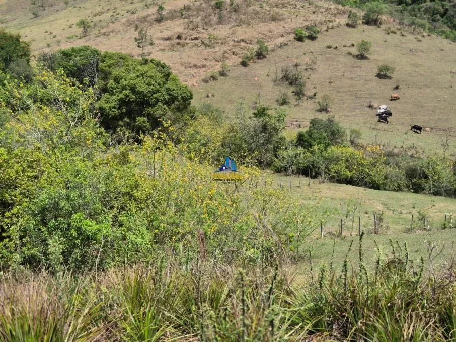 Imagem Chácara à Venda, 1666 m² em Capela Velha - Santana de Parnaíba