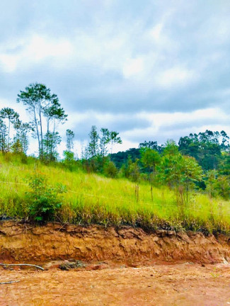 Imagem Terreno à Venda, 1.000 m² em Paruru - Ibiúna