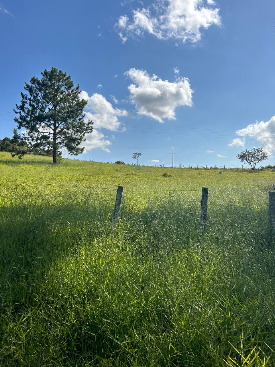 Imagem Terreno em Condomínio à Venda ou Locação, 500 m²em recreio verava - Ibiúna
