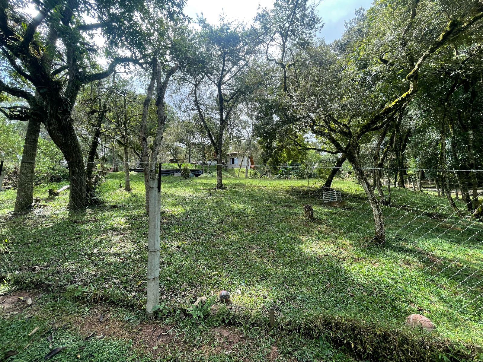 Foto do imóvel: Chácara com 3 Quartos à Venda, 6.800 m² em Salgadinho - Campo Largo