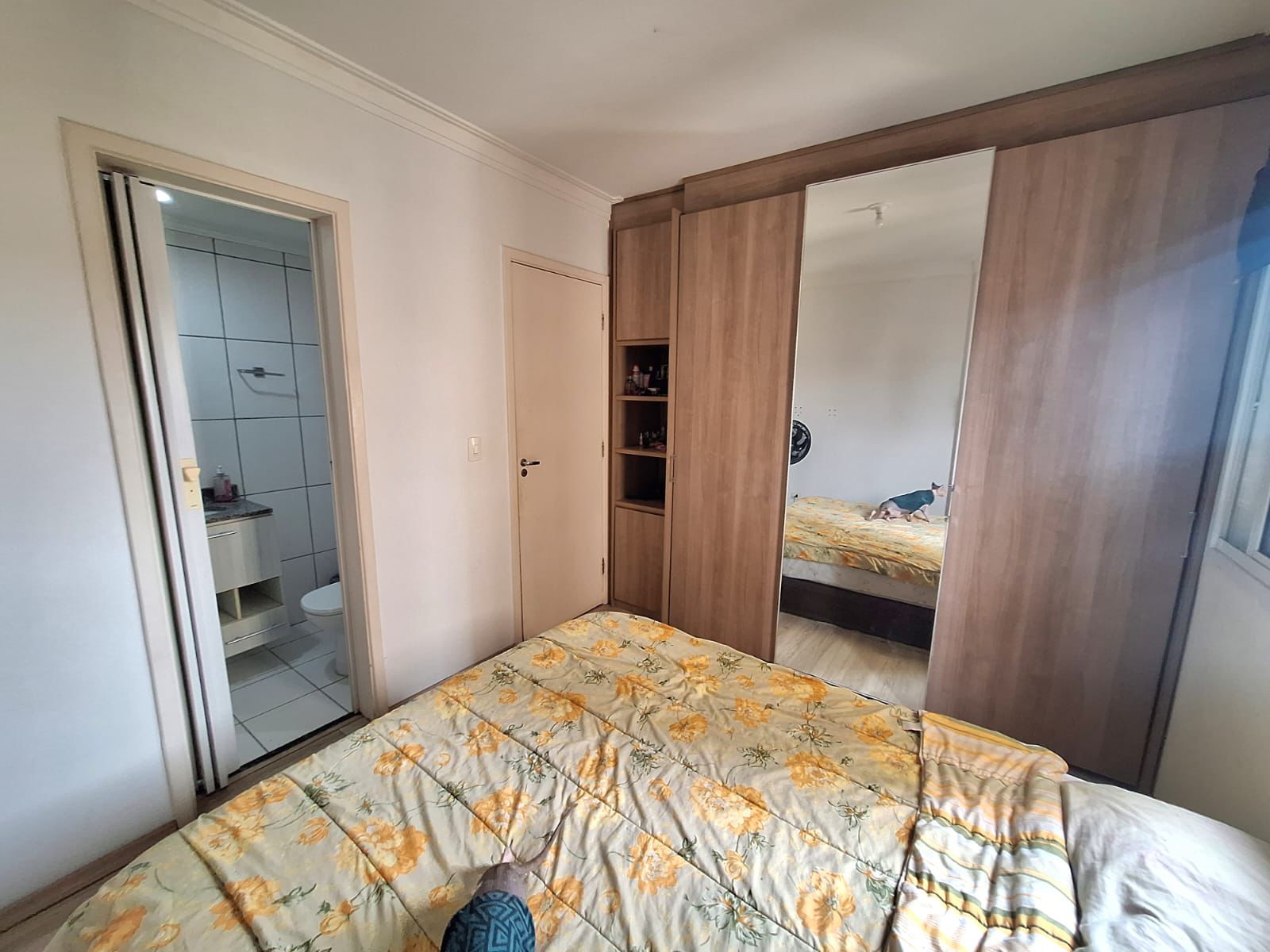 Foto do imóvel: Apartamento com 3 Quartos à Venda ou Locação, 74 m² em Vila das Mercês - São Paulo