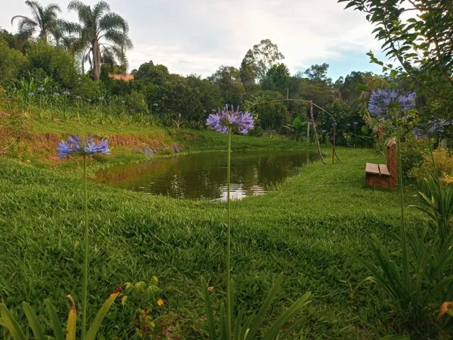 Imagem Chácara com 3 Quartos à Venda, 125 m²em Conceição - São Sebastião do Caí
