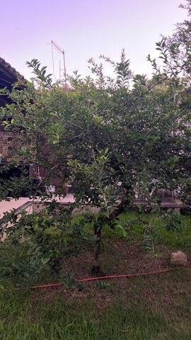 Imagem Chácara com 3 Quartos à Venda, 200 m²em Santa Cruz - Rio de Janeiro