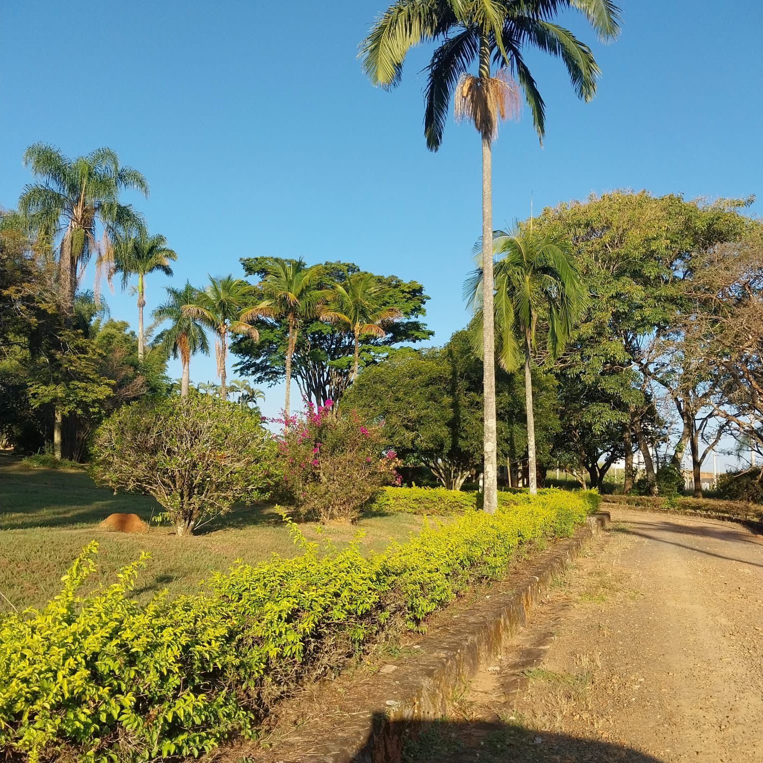 Foto do imóvel: Terreno em Condomínio à Venda, 250 m²em Colinas do Castelo - Jaguariúna