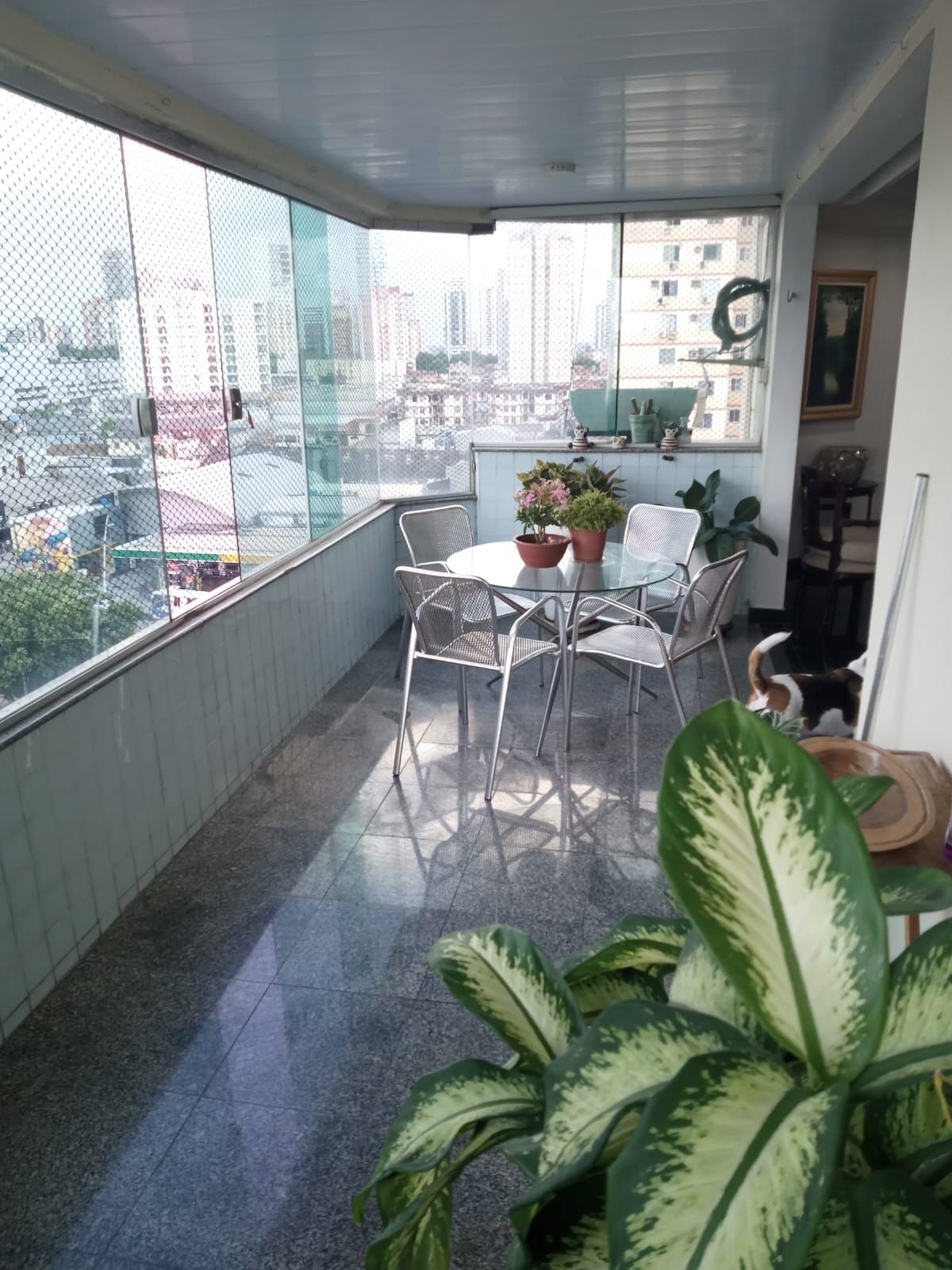 Imagem Apartamento com 3 Quartos à Venda, 198 m²em Campina - Belém