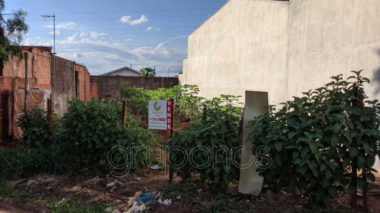 Imagem Terreno à Venda, 163 m² em Parque São Paulo (vila Xavier) - Araraquara