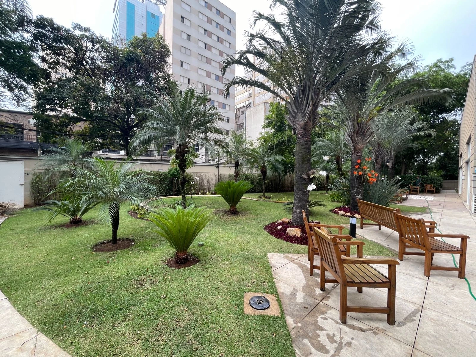 Imagem Apartamento com 2 Quartos à Venda, 80 m² em Paraíso - São Paulo