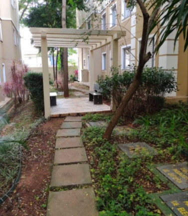 Imagem Apartamento com 2 Quartos à Venda, 45 m² em Vila Raquel - São Paulo