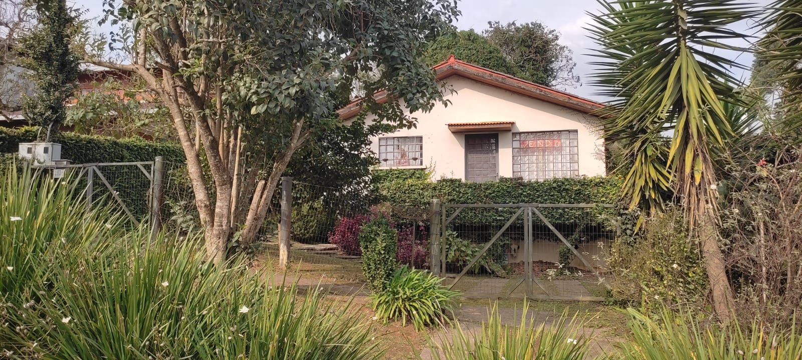 Imagem Casa com 6 Quartos à Venda, 2 m²em Vila Cubas - Tijucas do Sul