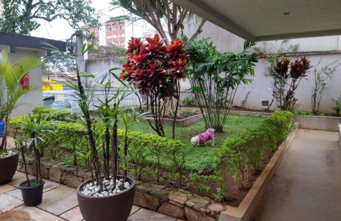 Imagem Apartamento com 3 Quartos à Venda,  em Vila Mariana - São Paulo