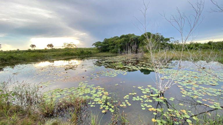 Imagem Fazenda à Venda, 455 HA em zona Rural - Santarém Novo