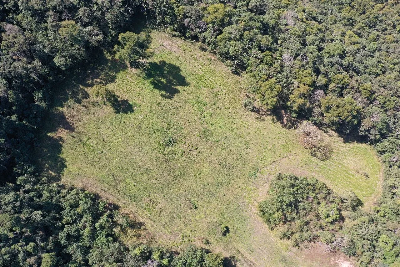 Foto do imóvel: Terreno à Venda, 16 hectare em Lima Duarte - Lima Duarte