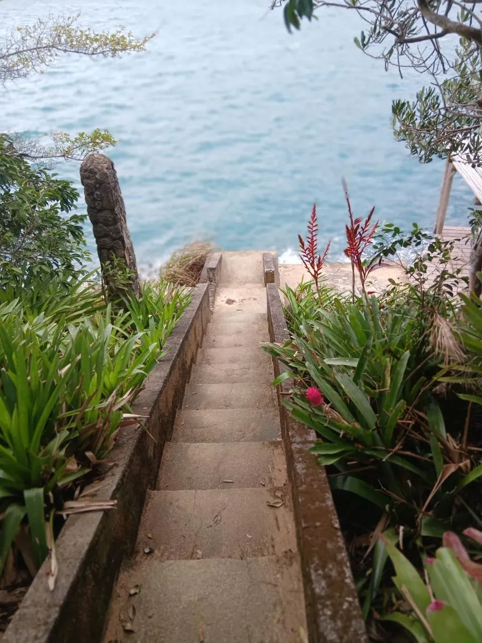 Imagem Terreno em Condomínio à Venda, 30000 metros em Paraty - Paraty