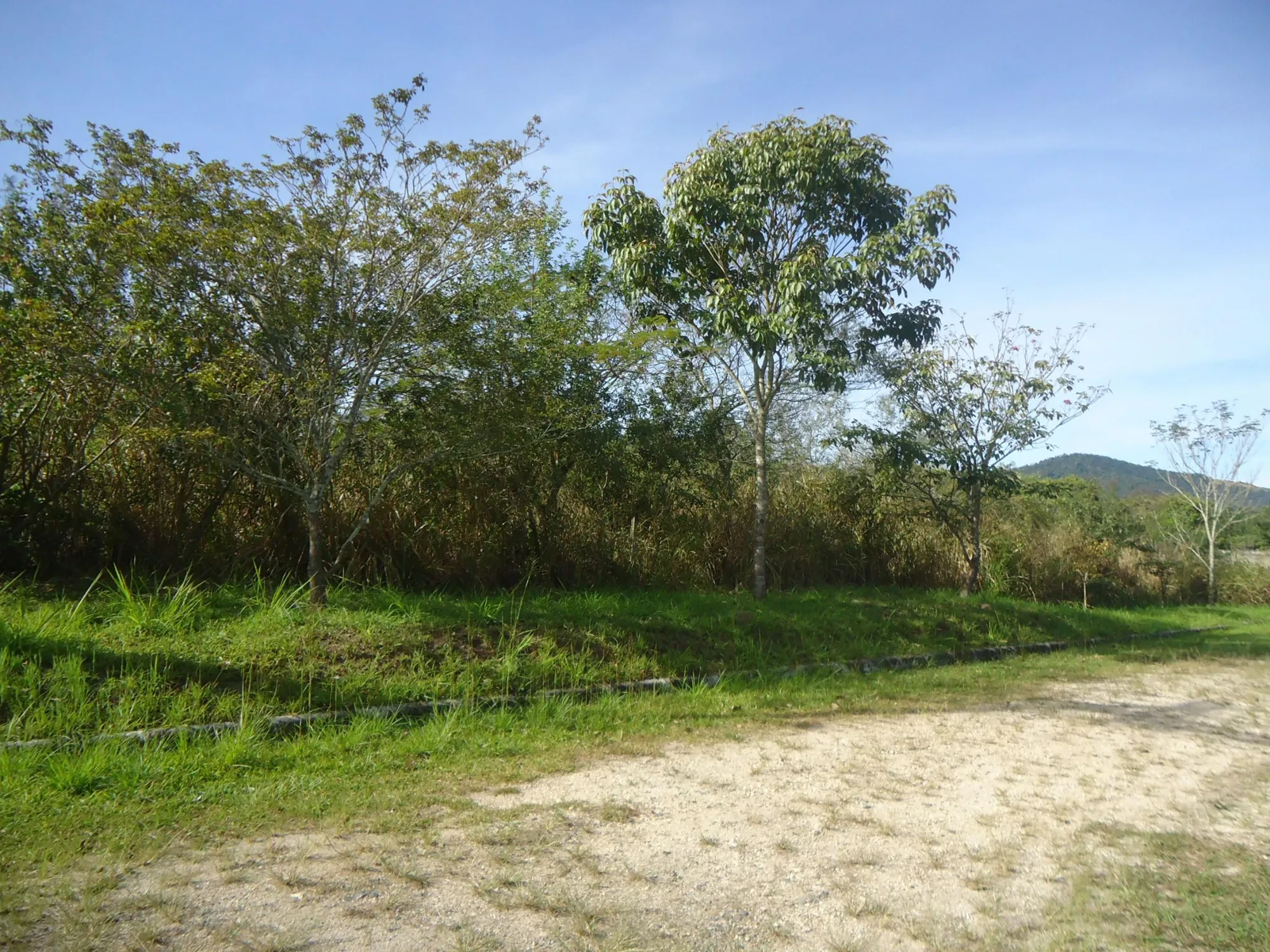Imagem Terreno em Condomínio à Venda, 2100 m² em Ubatiba - Maricá