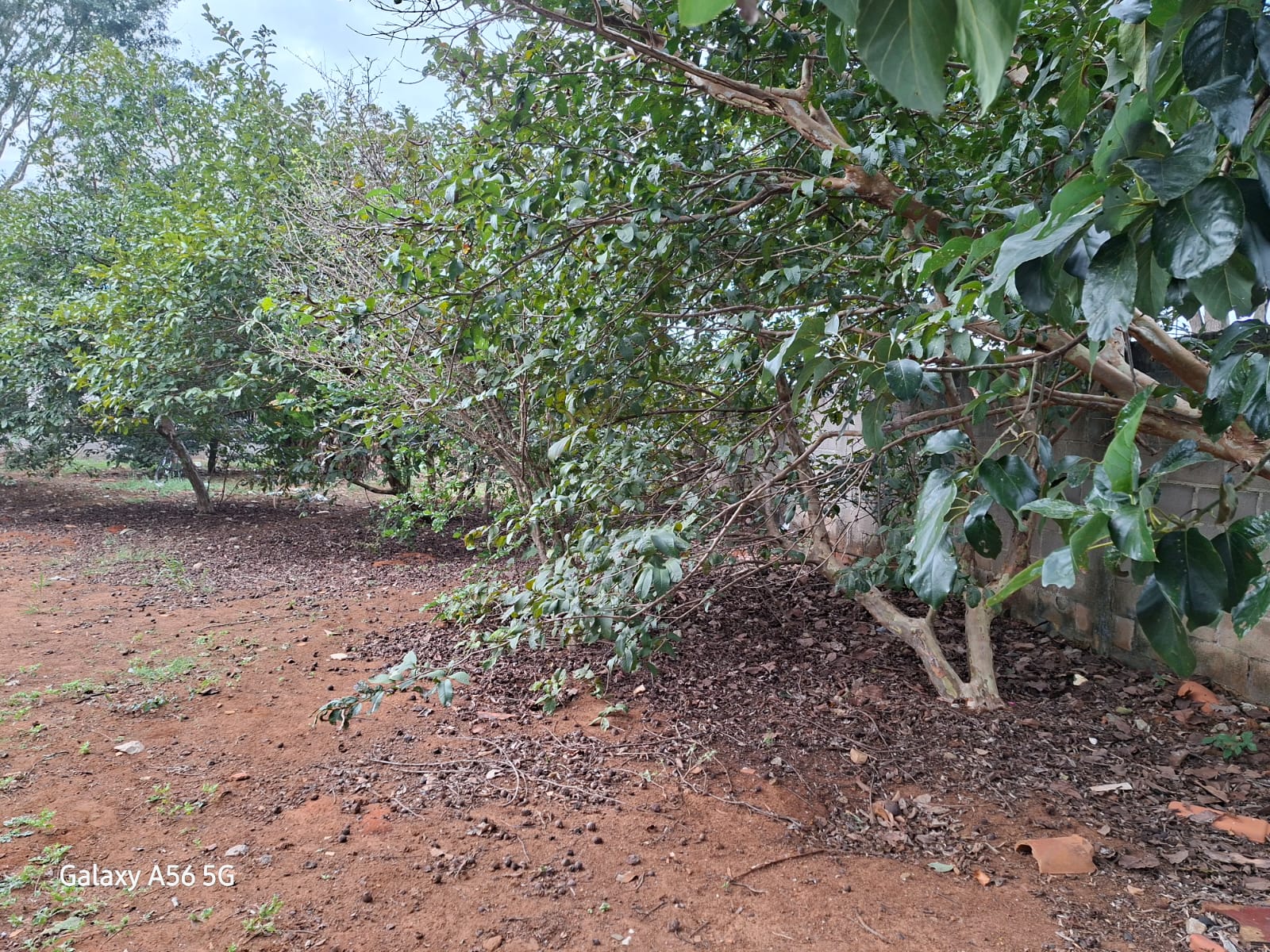 Imagem Terreno à Venda, 500 m² em Granjas Panorama - Taubaté