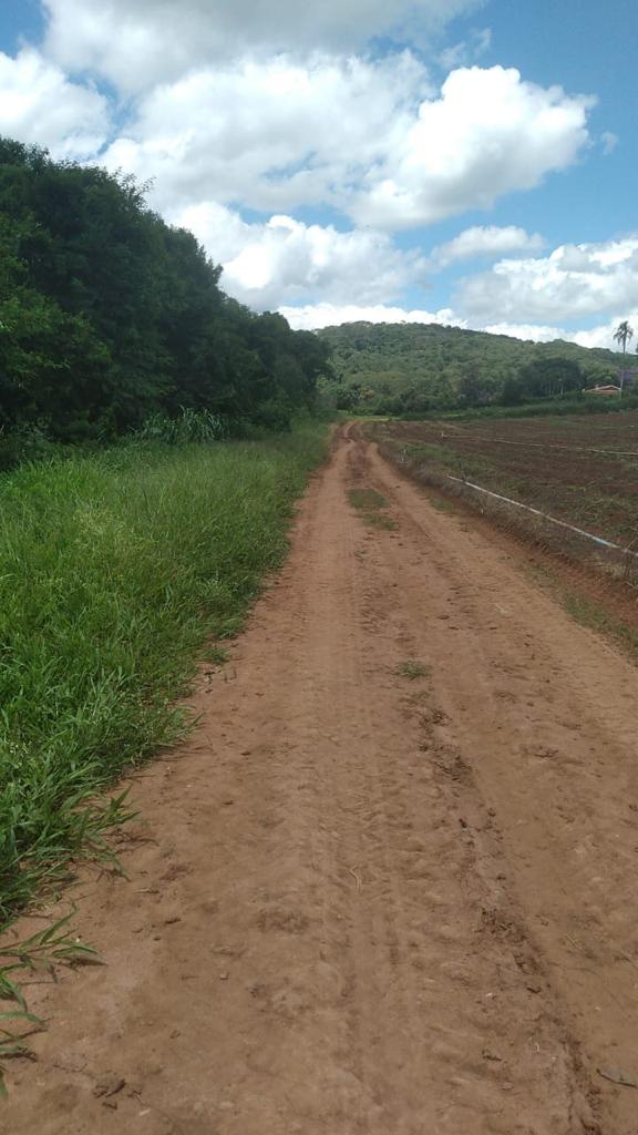 Foto do imóvel: Fazenda à Venda, 6 Alq. SP em Valadão - Piedade