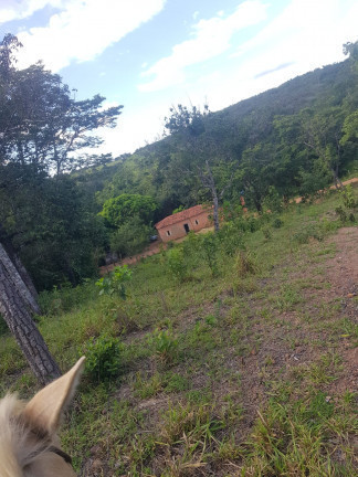 Imagem Fazenda à Venda,  em Área Rural - Padre Bernardo