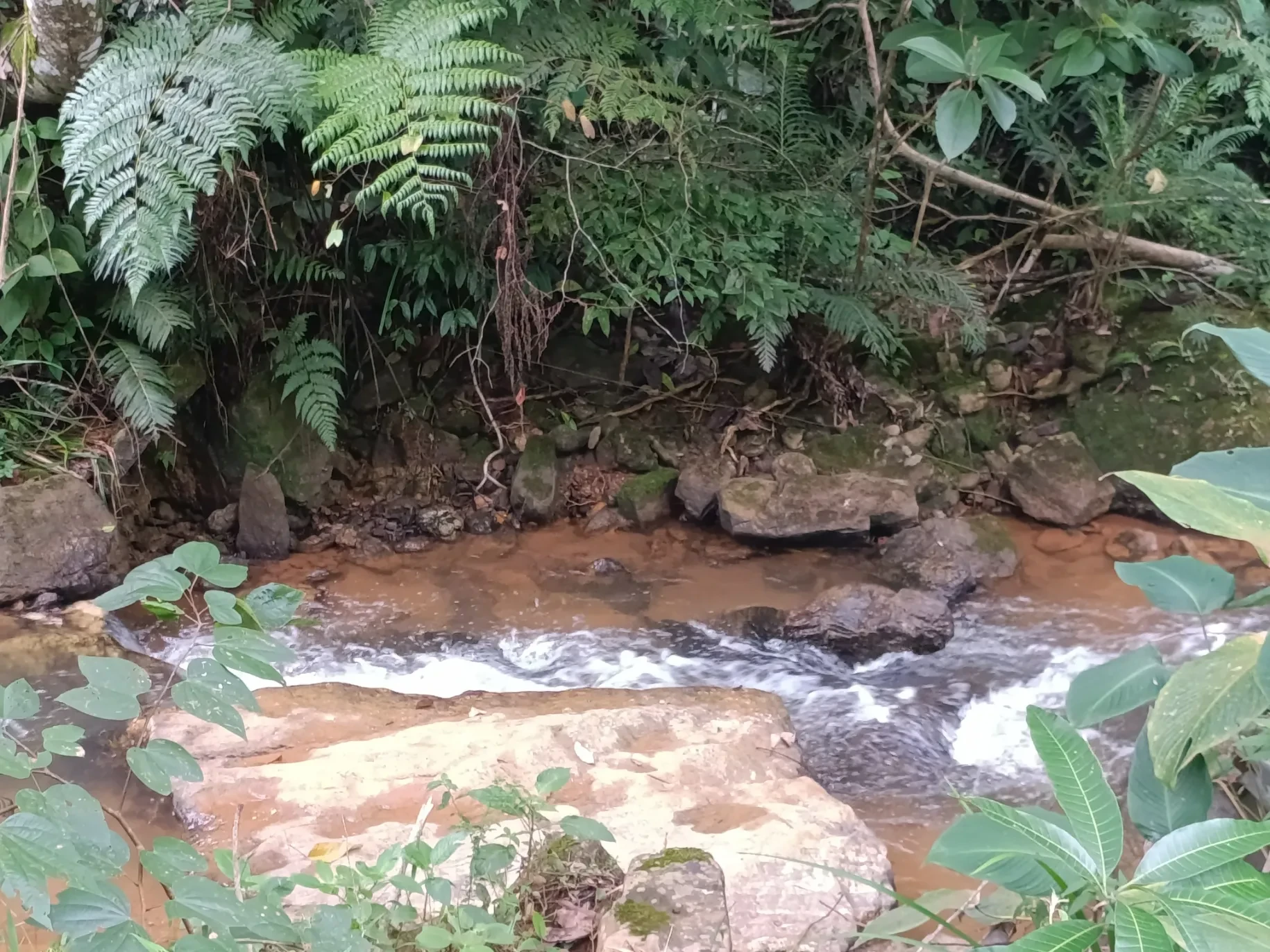 Imagem Chácara à Venda, 20000 metros em Santa Leopoldina - Santa Leopoldina