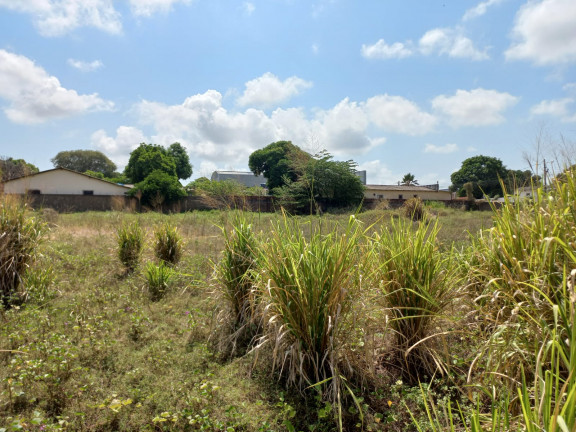Terreno para Alugar, 2.700 m² em São José Operário - Santarém