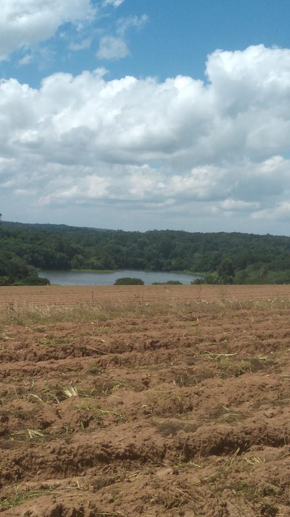 Foto do imóvel: Fazenda à Venda, 6 Alq. SP em Valadão - Piedade