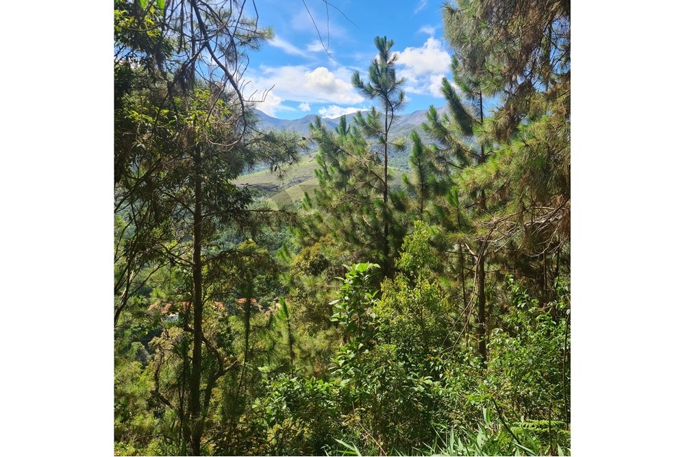 Imagem Terreno à Venda, 5.030 m² em Cuiabá - Petrópolis