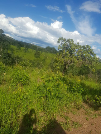 Imagem Fazenda à Venda,  em Área Rural - Padre Bernardo