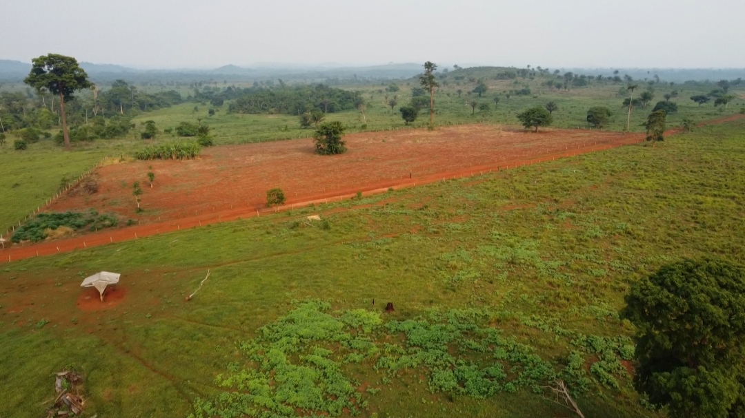 Foto do imóvel: Fazenda à Venda, 1 m²em Centro  - São Félix do Xingu