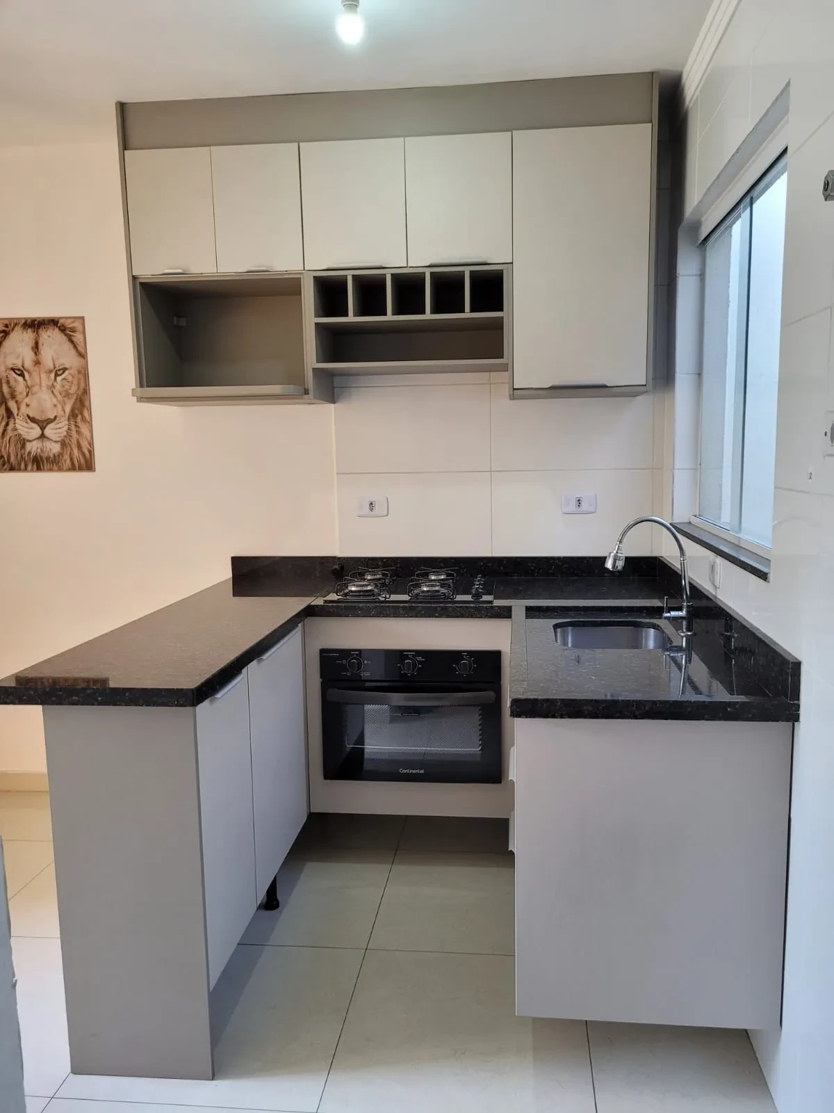 Imagem Apartamento com 2 Quartos à Venda, 38 metros em Vila Ivone - São Paulo