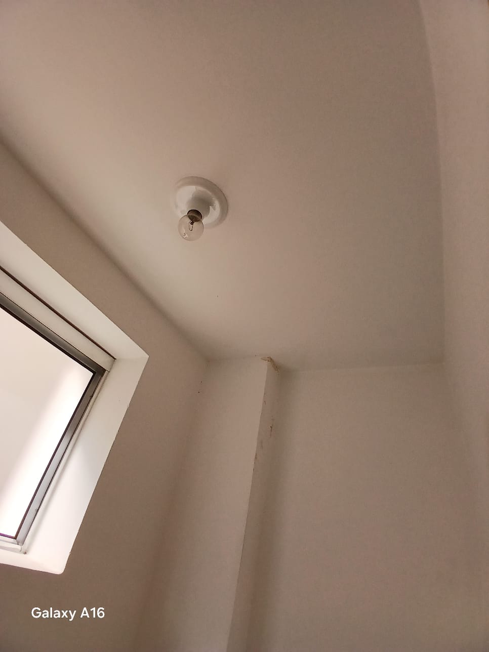 Imagem Sala Comercial para Alugar, 25 m² em Santana - São Paulo