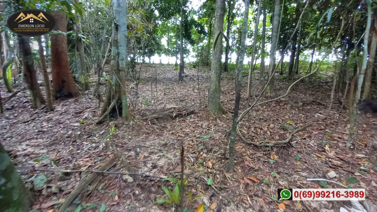 Imagem Fazenda à Venda,  em Zona Rural - Candeias do Jamari