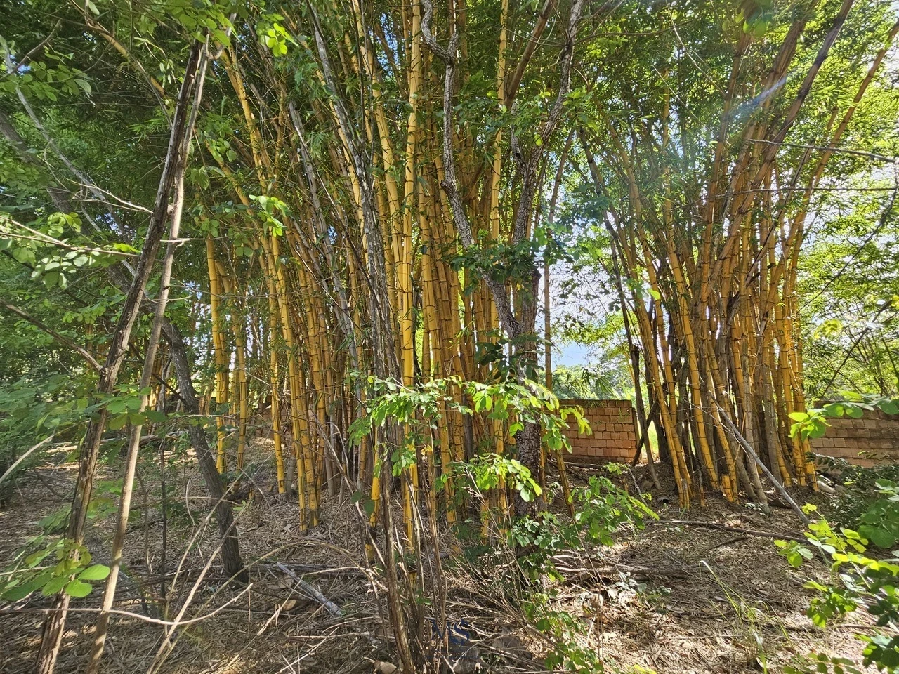 Imagem Fazenda à Venda, 18580 m² em Chácaras Ipanema - Valparaíso de Goiás