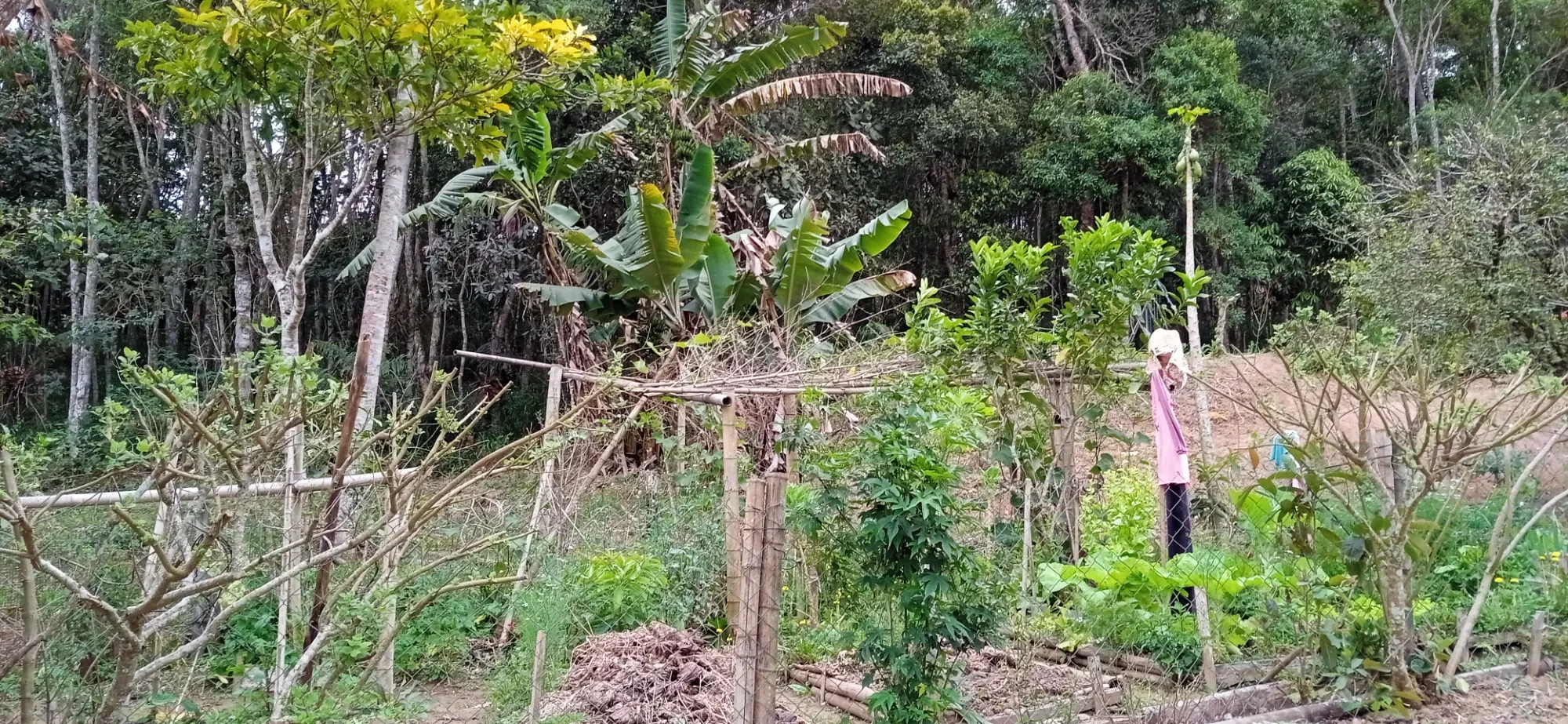 Foto do imóvel: Chácara com 6 Quartos à Venda, 12400 m² em Mogi das Cruzes - Mogi das Cruzes